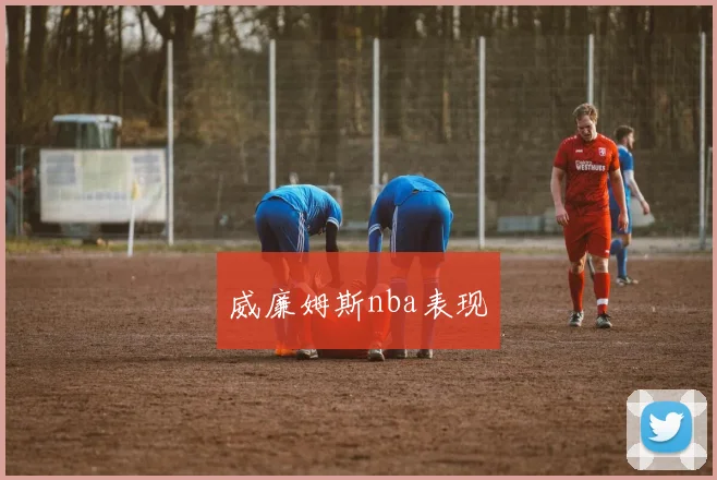 威廉姆斯nba表现
