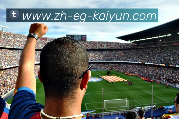 开云体育平台生态图