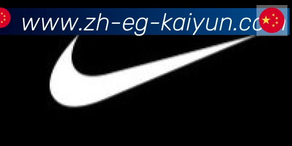 开云APP合作伙伴